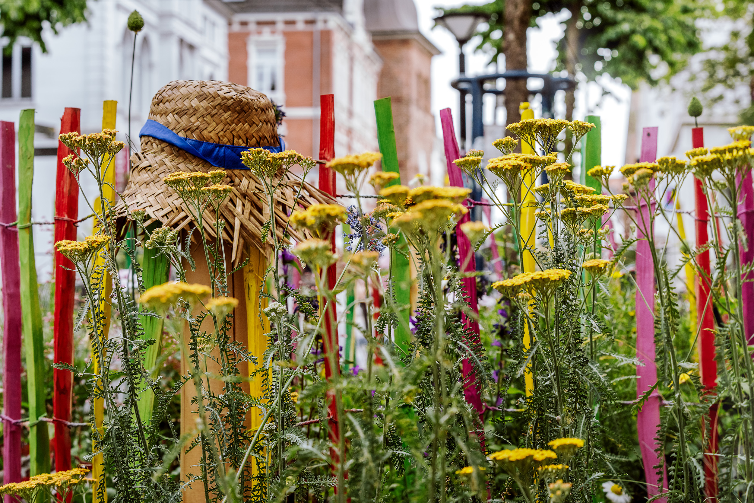 Neukonzeption Oldenburg Stadtgärten 2023 Auf dem Weg zur Gartenstadt